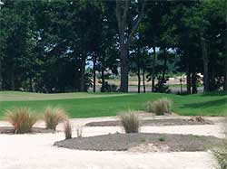 On Hilton Head Island... Colleton River Plantation golf course